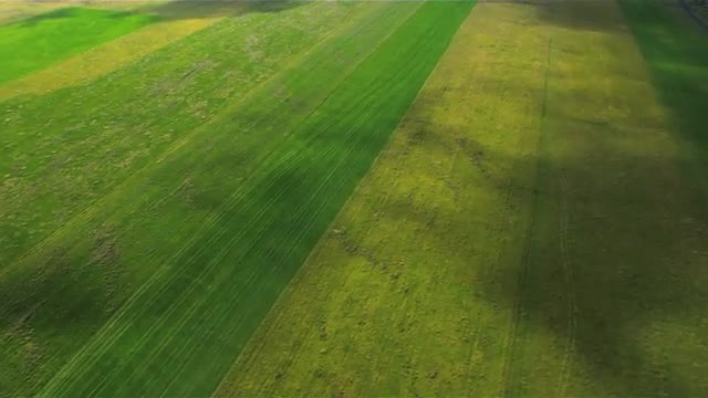 Aerial View of  Rich Agricultural Plains, Iceland