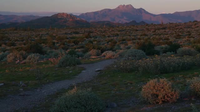 Desert Hiking Trail
