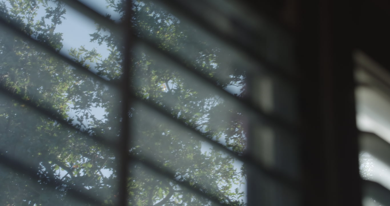 Wind in trees - looking out through shutters, window POV