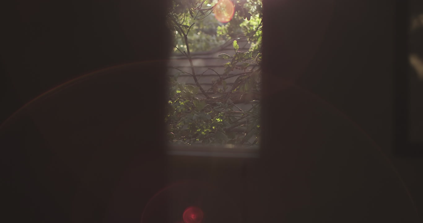 Wind in trees - framed by window, sun flares, wind chime