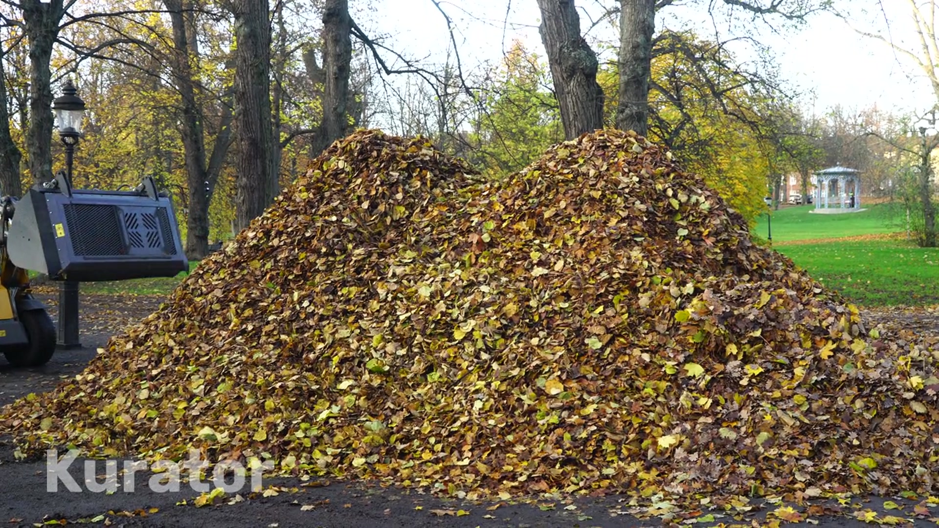 removing autumn leaves in park - pile of leaves - 1.mp4