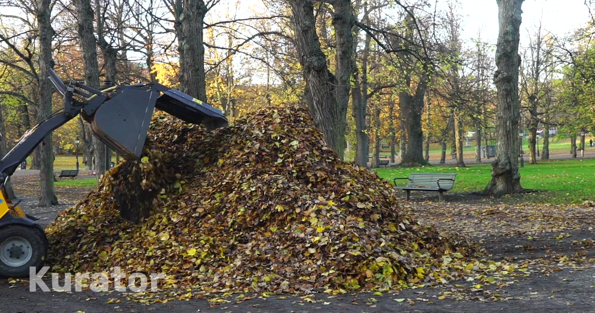 removing autumn leaves in park - slomo -.mp4