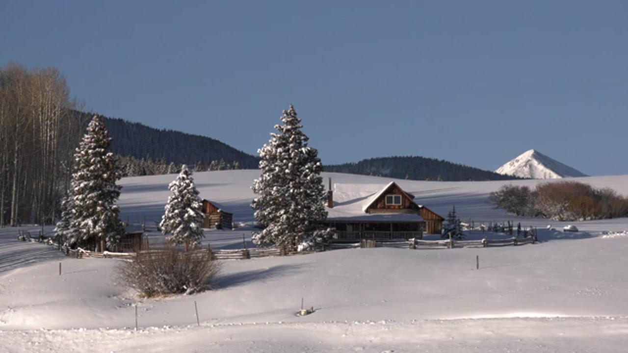 Kurator Cabin Fresh Snow.mov
