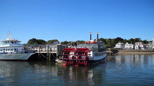 Docked Boats