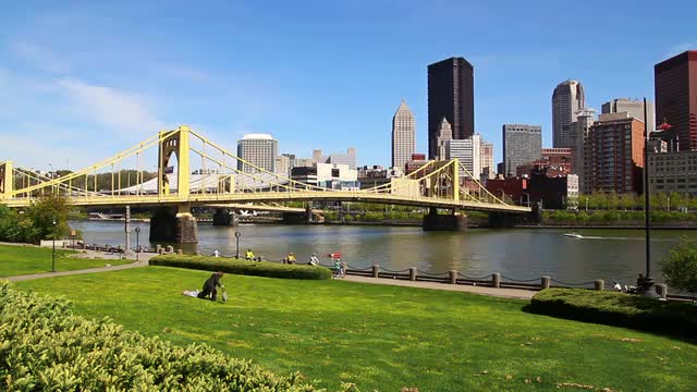 Pittsburgh Skyline 2447