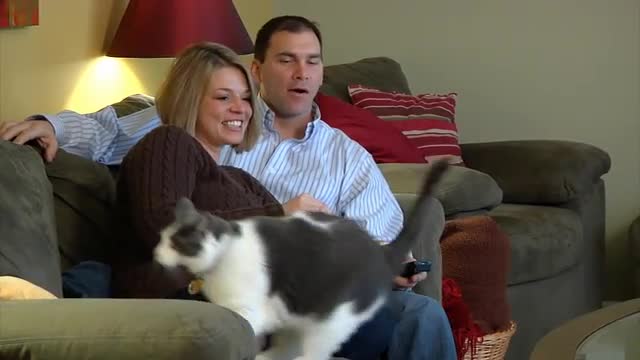 Couple Watching TV 1359