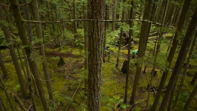 Bird's Eye View of Mountain Bikers in a Forest