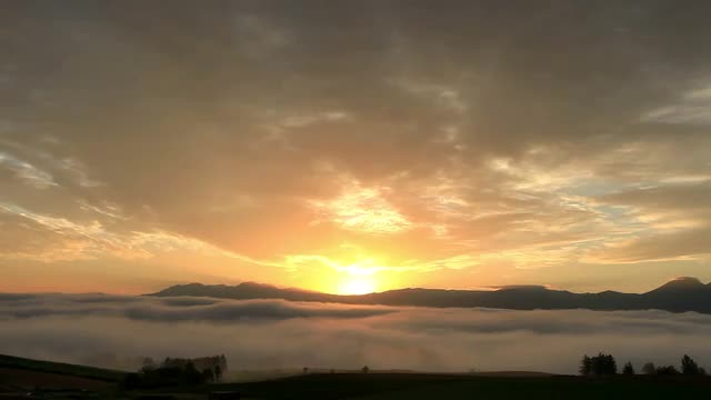 Sunflower field, field of clouds in morning glow, rising sun, and morning mist and peaks of Tokachi 