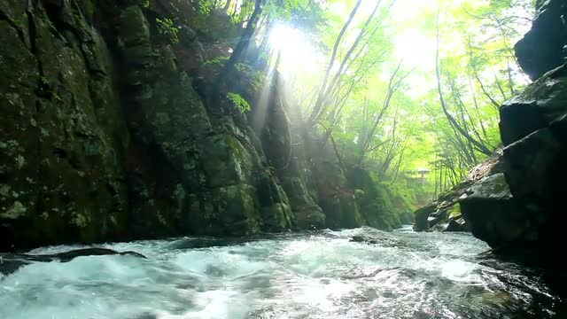 Tender green, clear water of Takashi river, and sun spillar streaming throug leaces