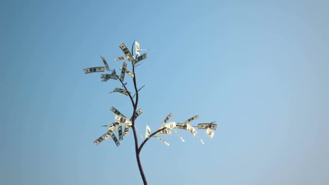 Dollars growing on a tree.