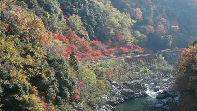 Hozukyou tour train and boat tour in Hozukyou in autumn color