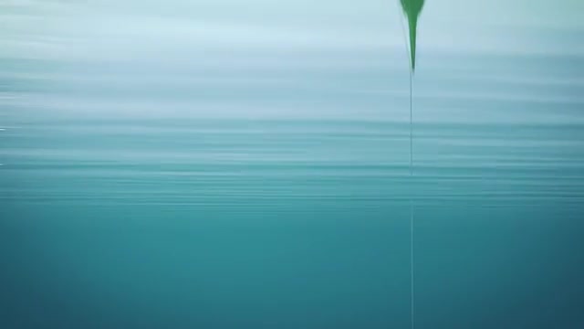Fish rigged live bait on hook underwater. Fishing.