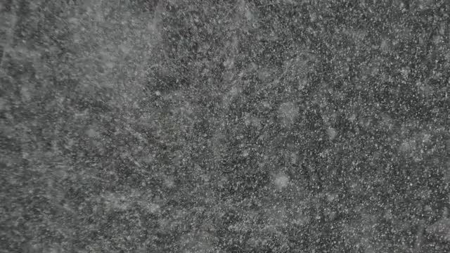 Heavy snow fall in forest