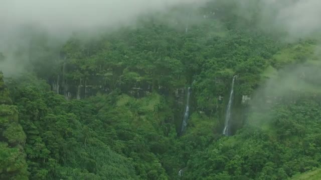 Aerial Shot of Jungle Waterfall