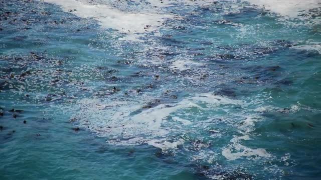 Foamy Sea Water