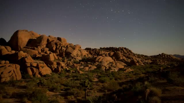 Time Lapse of Joshua Tree Desert Landscape at Night
