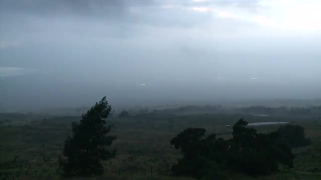 Clouds &amp; Trees Time Lapse