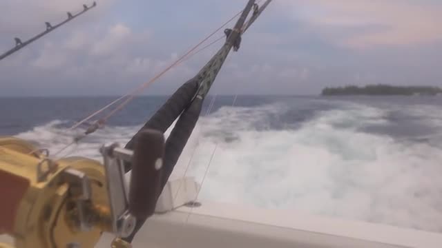 Big Game Fishing Rods And Reels