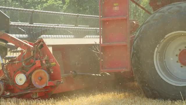 Combine Harvesting Wheat