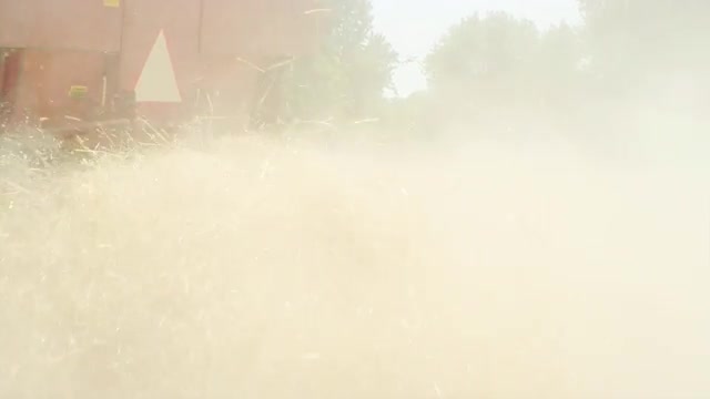 Combine Harvesting Wheat