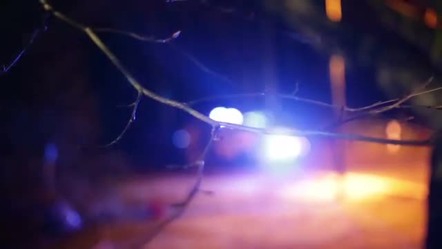 Blue Police lights out of focus with tree branch in foreground