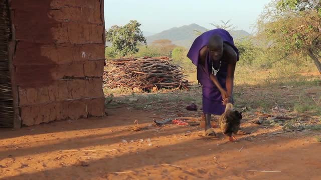 Maasai lady hitting chicken as a form of punishment
