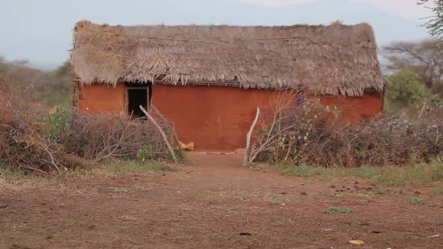 Maasai child walking past traditional mud hut