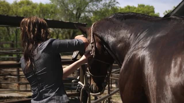 Slow motion shot of a woman grooming a horse.