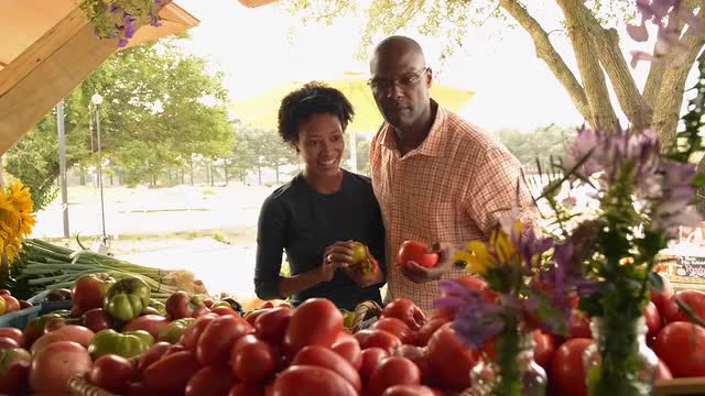 African American couple examining produce at farm stand