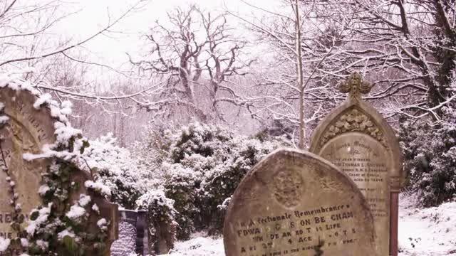 Snow falling in the Arnos Vale, Victorian Cemetery, Bristol.