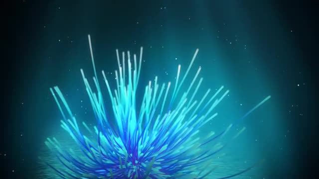 Underwater Feather Star In The  Blue Deep Loop