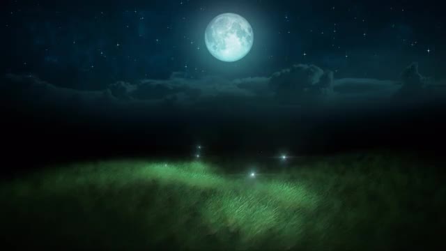 Flying Bright Fireflies Over Grass At The Night Loop
