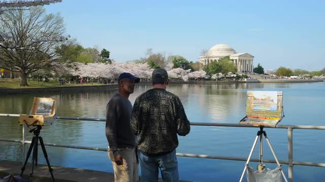4K Artists on the Tidal Basin 2
