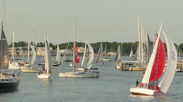 4K Annapolis Sailboats Return from Racing 1