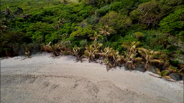 Fiji 01 2K 07 23