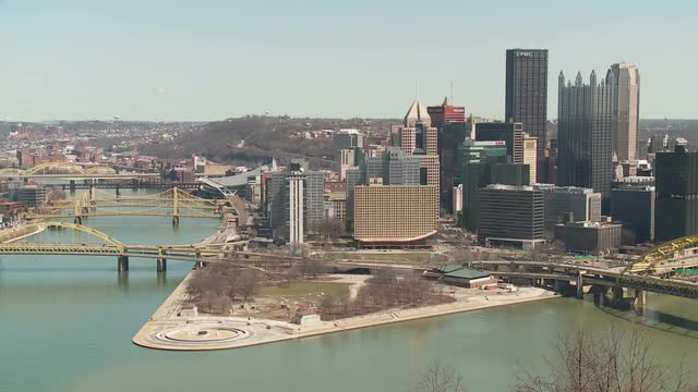 Pittsburgh Skyline 3
