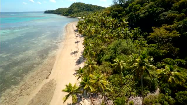Fiji 01 2K 11 8