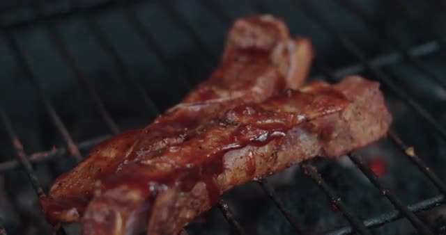 Sauce dripped onto Ribs 