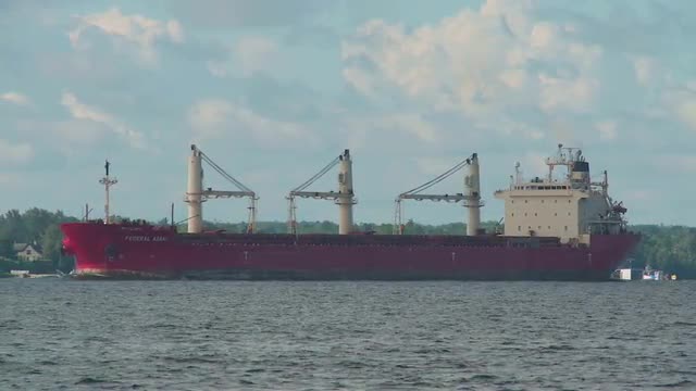 Bulk Carrier Ship Federal Asahi 3