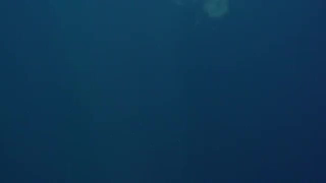 Young Fit Man Jumps Off The Boat Into The Sea