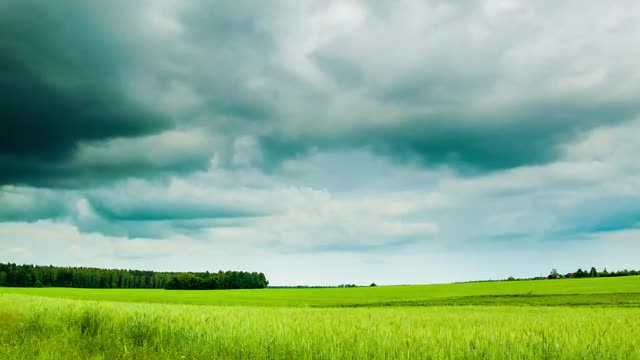 Green Field With Overcast Clouds Time Lapse