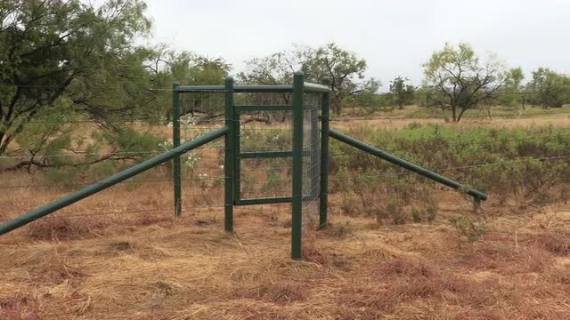 Walk through gate 