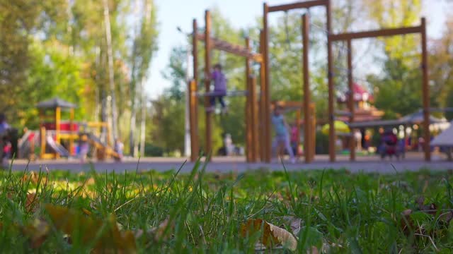 Park Sm49