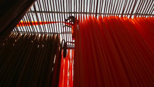 Newly dyed fabric being hung up to dry, Sari garment factory, Rajasthan, India