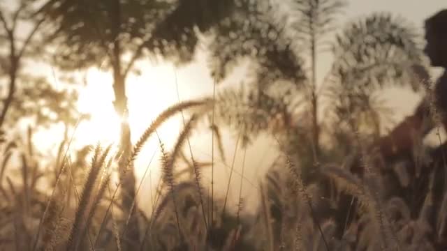 Man riding a cycle through the fields