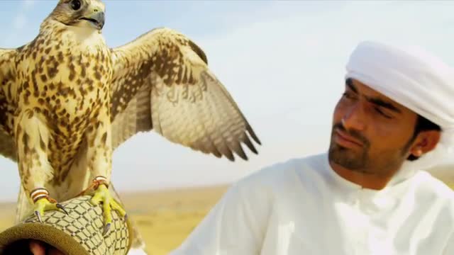 Middle Eastern Falconer with Bird of Prey Close Up