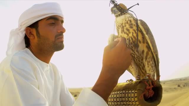 Bird of Prey with Middle Eastern Owner 