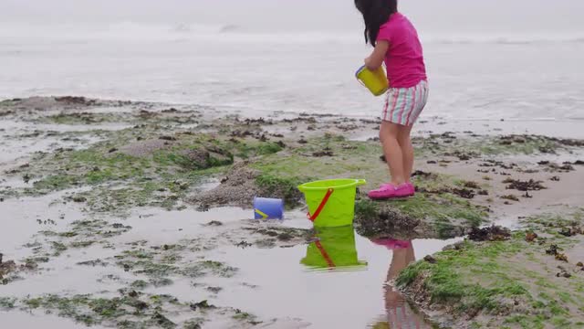 Children playing at beach. Shot on RED EPIC for high quality 4K, UHD, Ultra HD resolution.