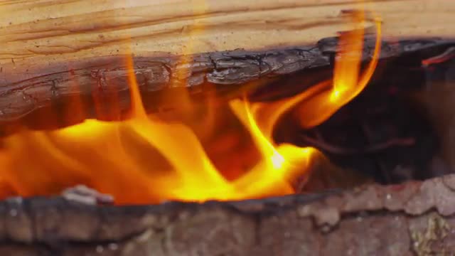 Wood burning in campfire. Shot on RED EPIC for high quality 4K, UHD, Ultra HD resolution.