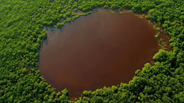 Aerial view Wetlands Southern Florida